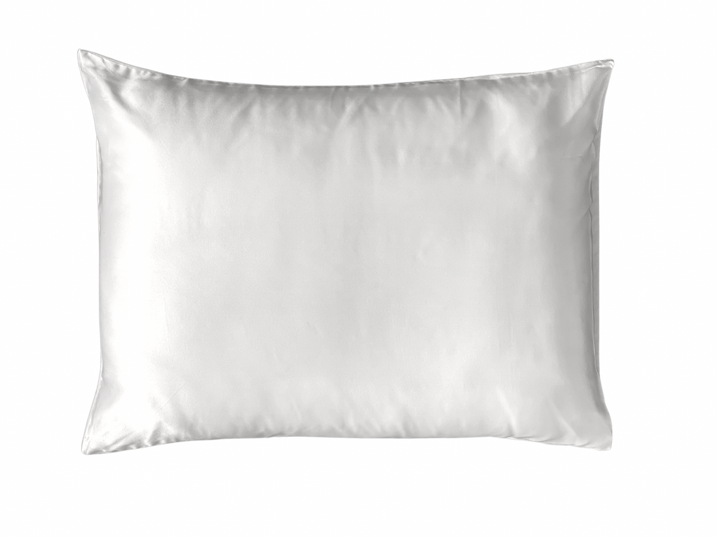 Dreamz Silk and Plush Waterproof Pillowcase